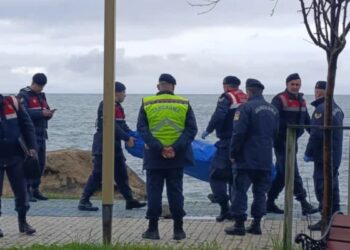 Ordu’da ‘insansız bir cihaz’ kıyıya vurdu