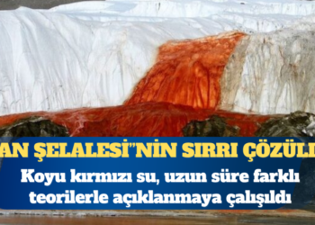 Antarktika’daki “Kan Şelalesi”nin gizemi çözüldü