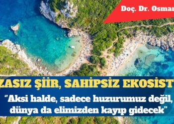 İmzasız şiir, sahipsiz ekosistem: Bir modern zaman şizofrenisi