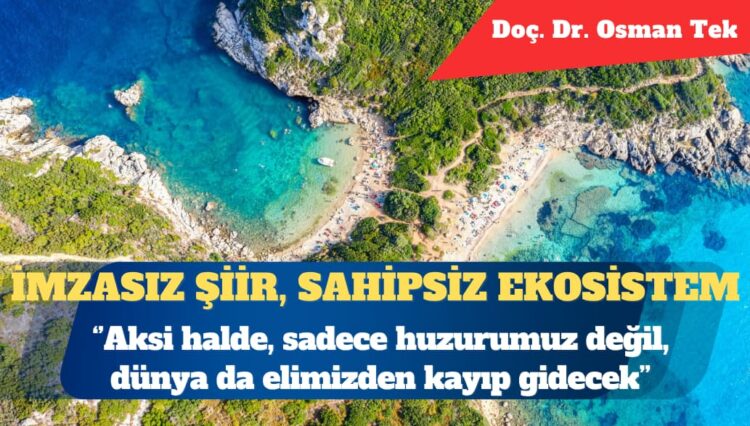 İmzasız şiir, sahipsiz ekosistem: Bir modern zaman şizofrenisi