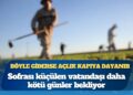 Tarımda alarm: Böyle giderse açlık kapıya dayanır
