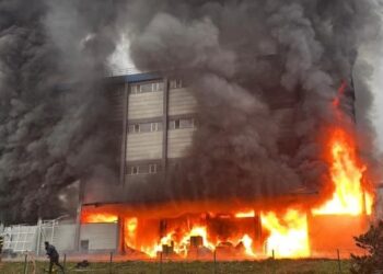 Trabzon’da fındık fabrikasında yangın