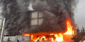 Trabzon’da fındık fabrikasında yangın